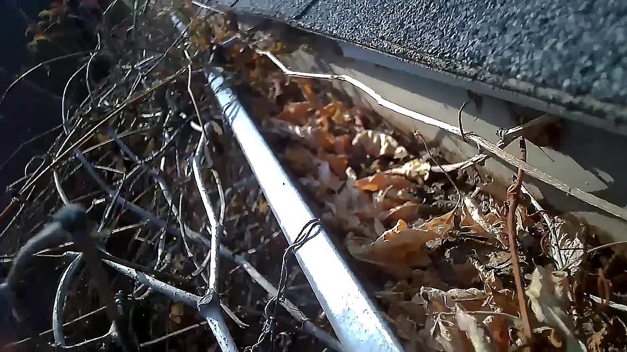 Best Gutter Guards for Pine Needles and Fire Debris